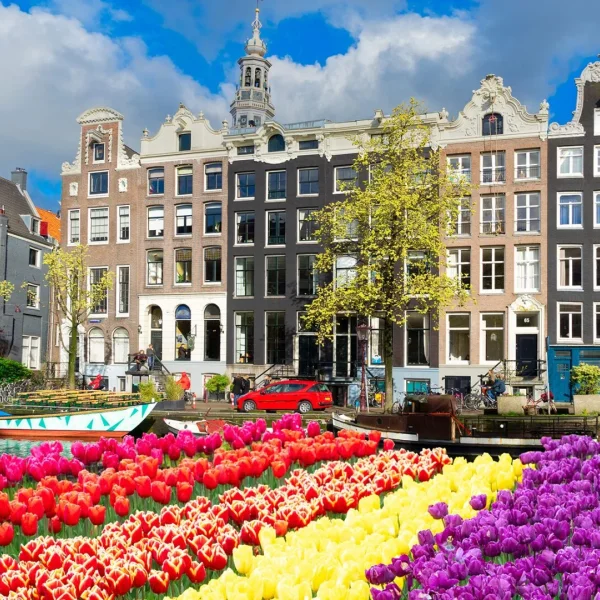 Benelux Paris Alsace ve Ötesi (FRA-FRA) *