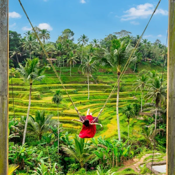 Tropik Rüya Bali Turu (DPS-DPS)