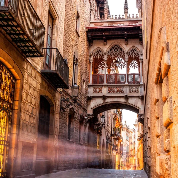 Viva İspanya Ekspres Turu * Deluxe (BCN-MAD)