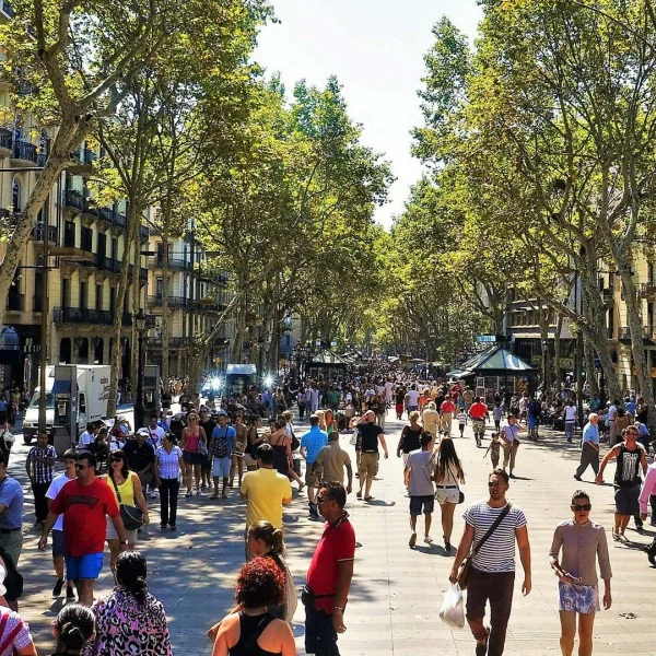 Renklerin Arasında Barcelona * (BCN-BCN)