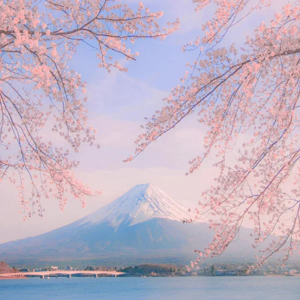 Japonya Turları