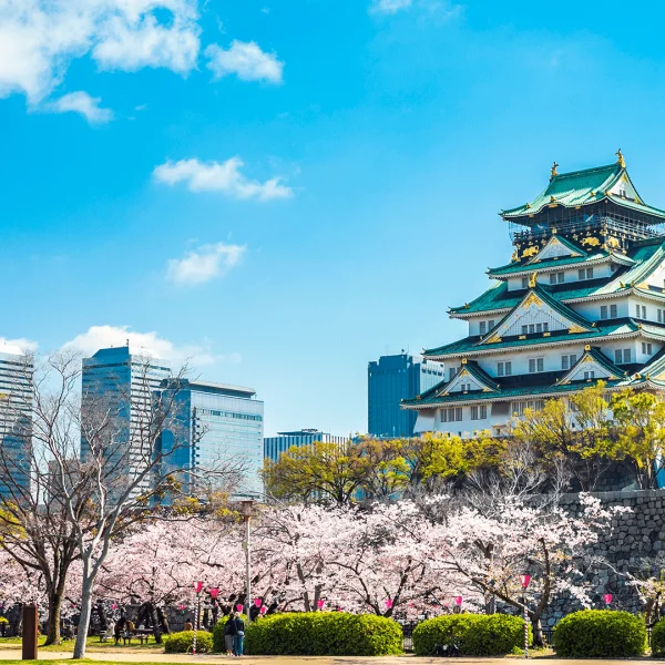 Büyük Japonya Keşif Turu (ITM-HND)