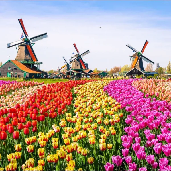 Ekspres Benelux & Paris Masalı Turu * (AMS-ORY)