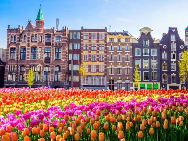 Benelux'un Zarafetiyle Paris'in Işıltısına Yolculuk (16Mart çıkışlı)