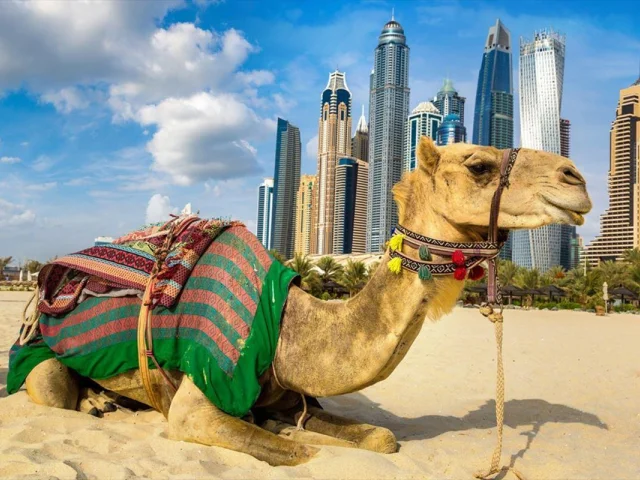 Dubai LEGOLAND’de Her Tuğla Eğlenceyi Taşıyor