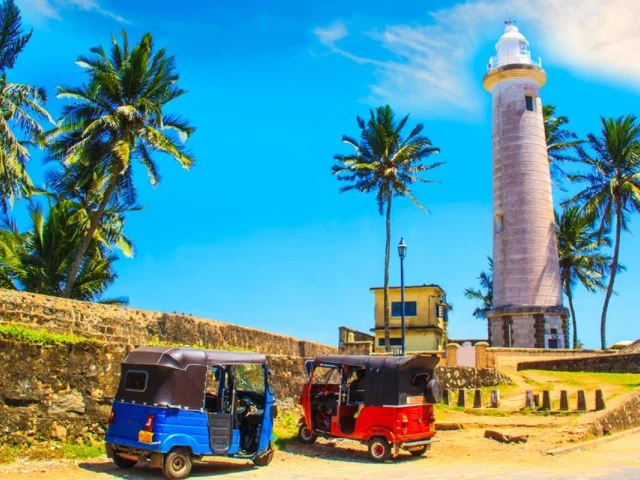 Bu Kez Rotanız Sri Lanka Olsun!
