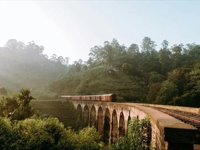 Asya’nın Gizli Hazinesi Sri Lanka’ya Yolculuk