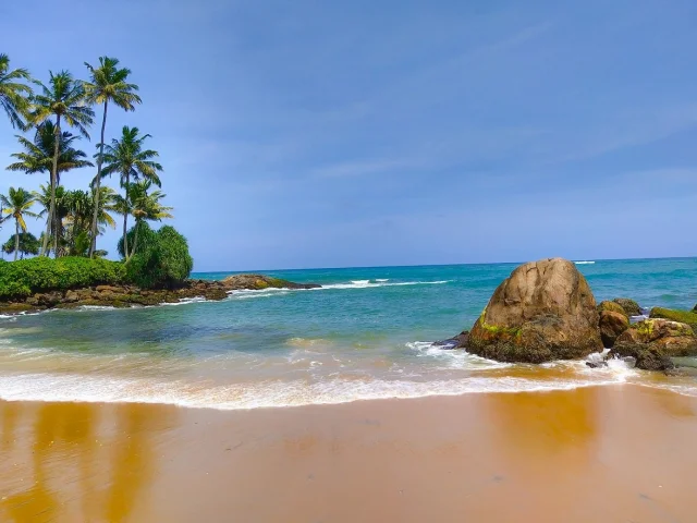 Asya’nın Gizli Hazinesi Sri Lanka’ya Yolculuk